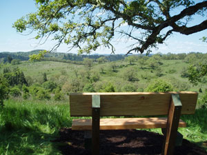 View and Bench at top of Hiking Trail