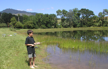 Fishing at Pond